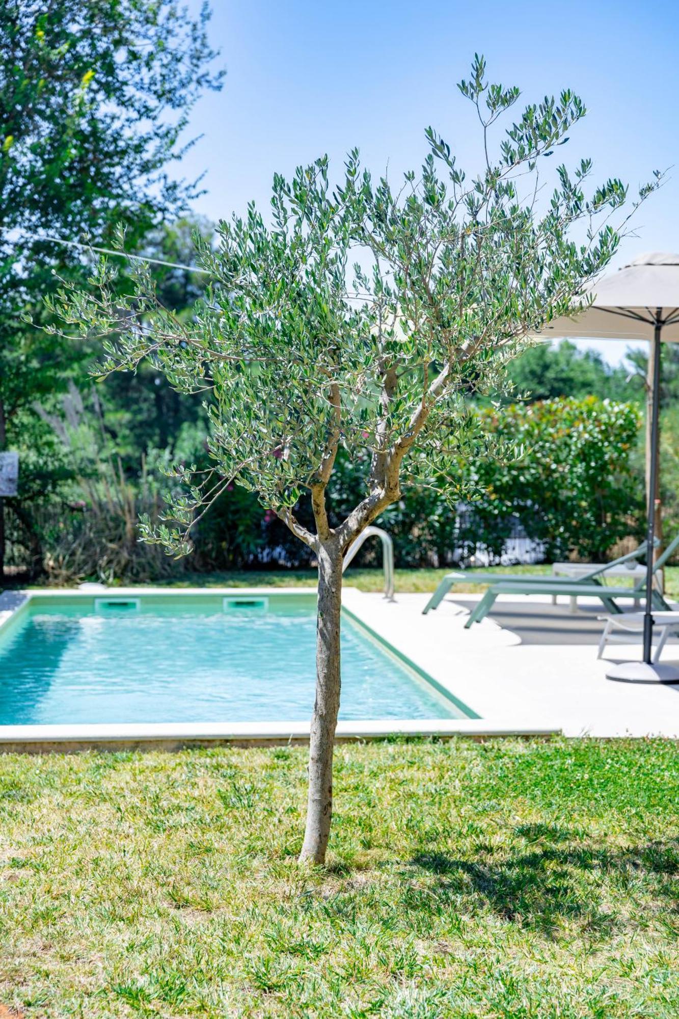 Villa Zen - With Pool & Close To The Sea Tar-Vabriga Eksteriør billede